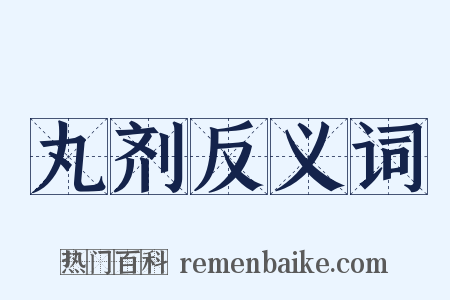 丸剂反义词是什么意思的图片